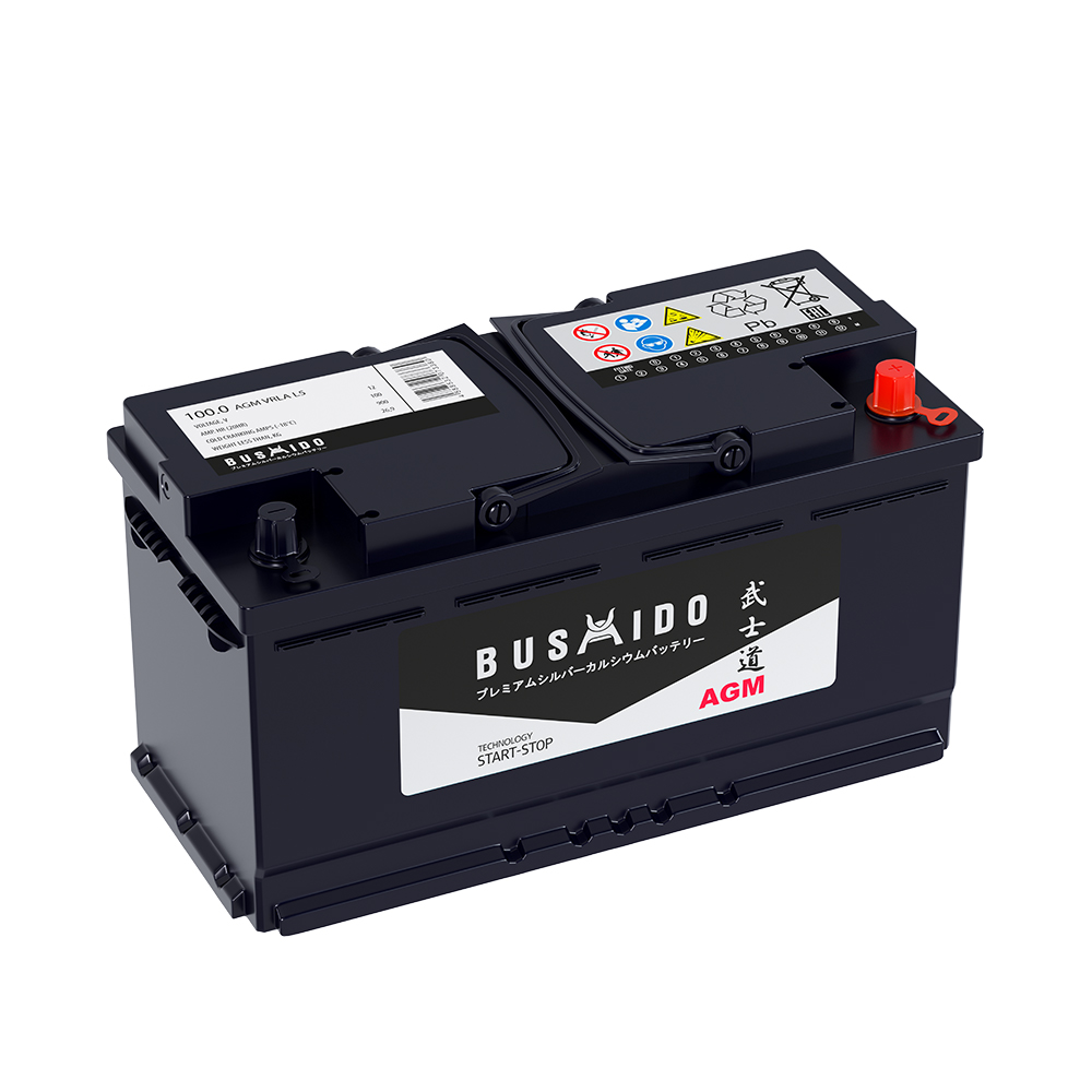 Аккумуляторы BUSHIDO BUSHIDO AGM 100R купить 8 906 062 07 78