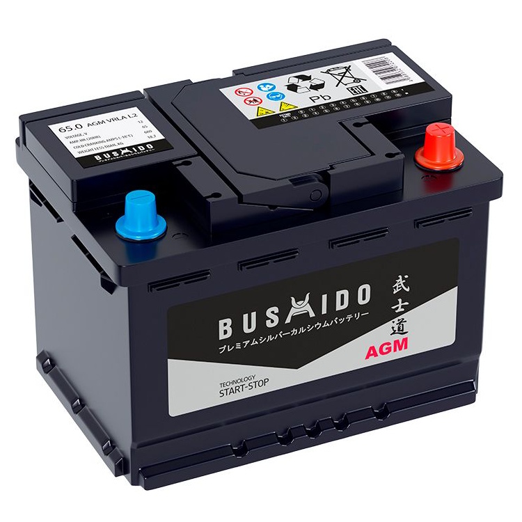 Аккумуляторы BUSHIDO BUSHIDO AGM 65R купить 8 906 062 07 78