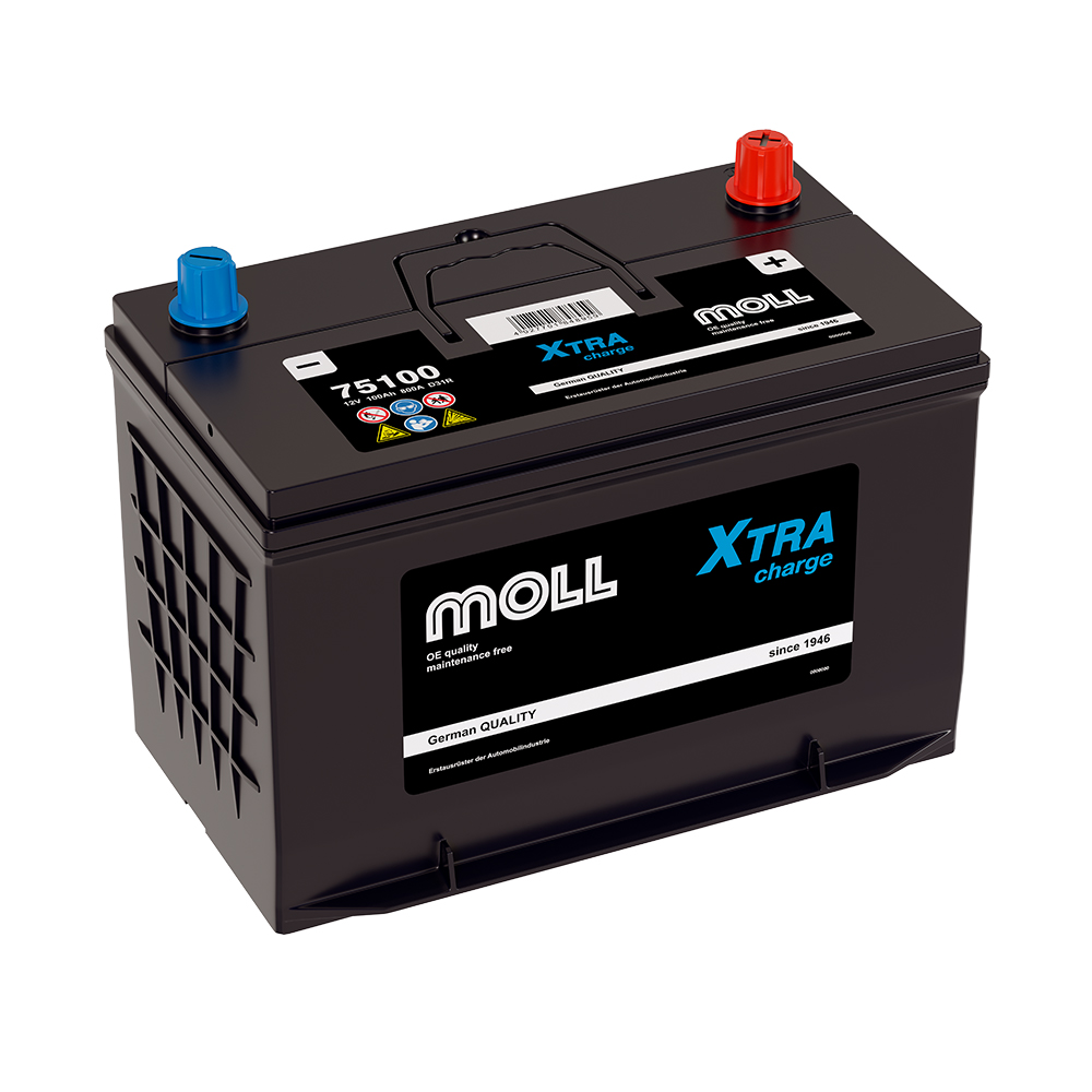 Аккумуляторы MOLL MOLL XTRA charge D31R купить 8 906 062 07 78