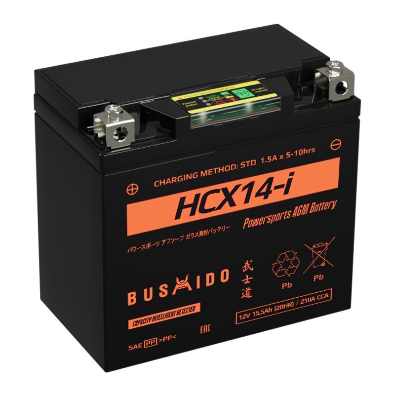 Аккумуляторы BUSHIDO BUSHIDO HCX14-i купить 8 906 062 07 78