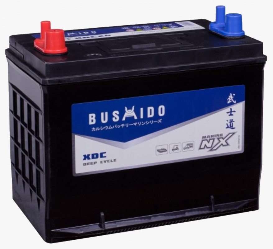 Аккумуляторы BUSHIDO BUSHIDO XDC24 купить 8 906 062 07 78