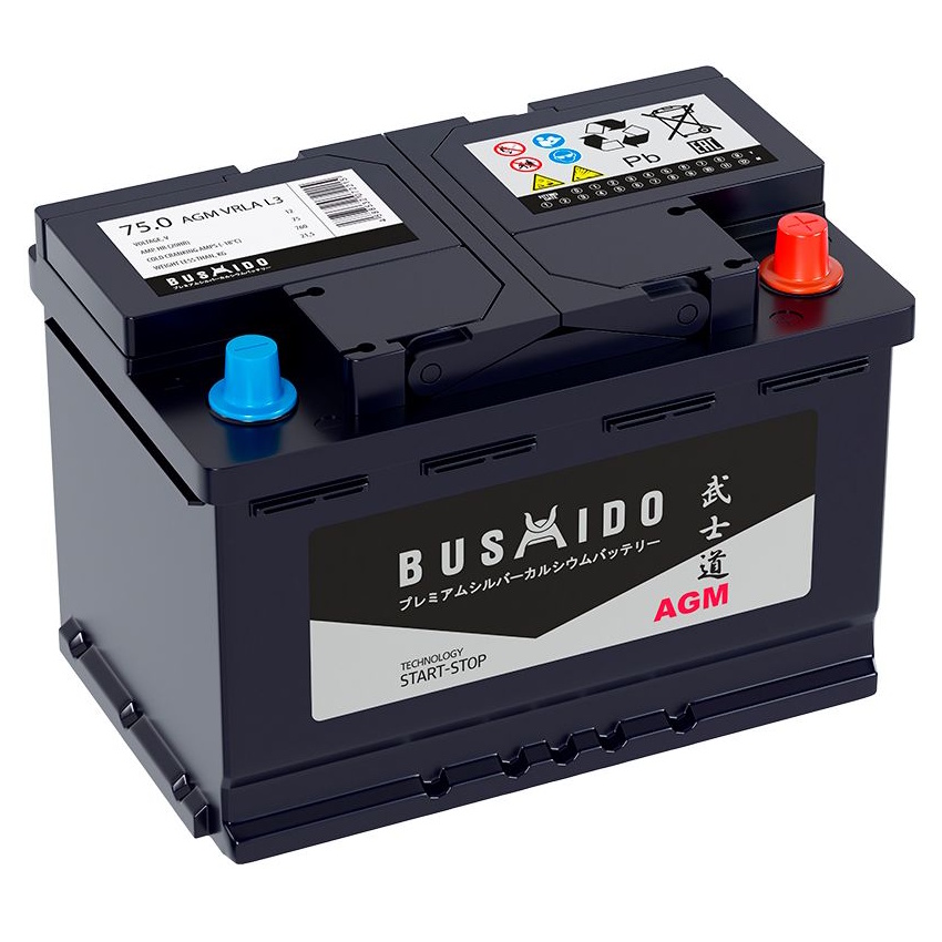 Аккумуляторы BUSHIDO BUSHIDO AGM 75R купить 8 906 062 07 78