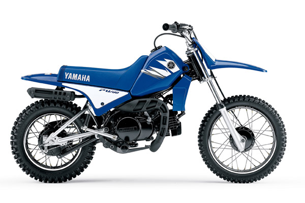 Подбор аккумулятора PW 250 в магазине 8 926 257-4321
