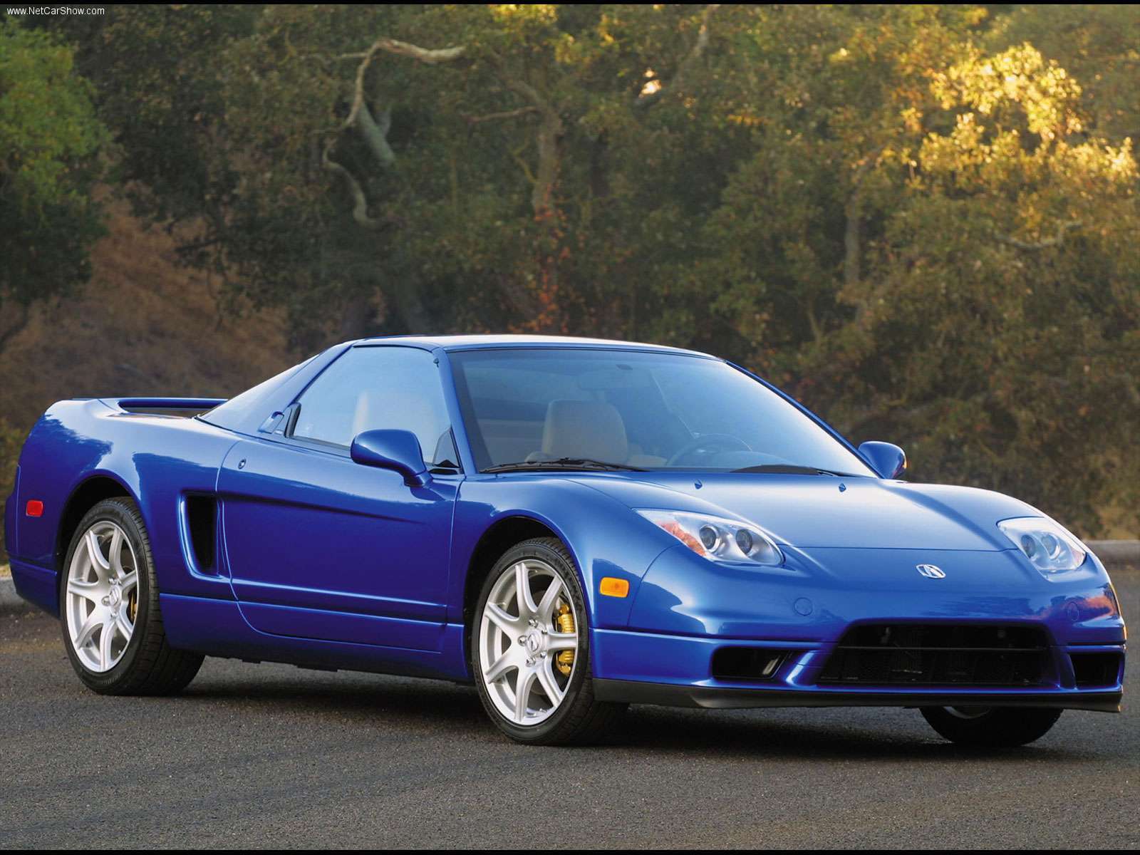 Подбор аккумулятора NSX Coupe (NA) в магазине 8 926 257-4321