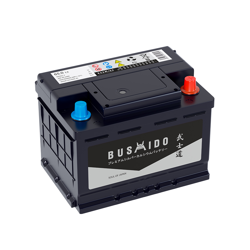 Аккумуляторы BUSHIDO BUSHIDO 65R купить 8 906 062 07 78