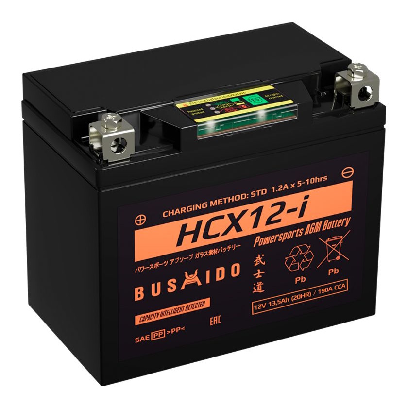 Аккумуляторы BUSHIDO BUSHIDO HCX12-i купить 8 906 062 07 78