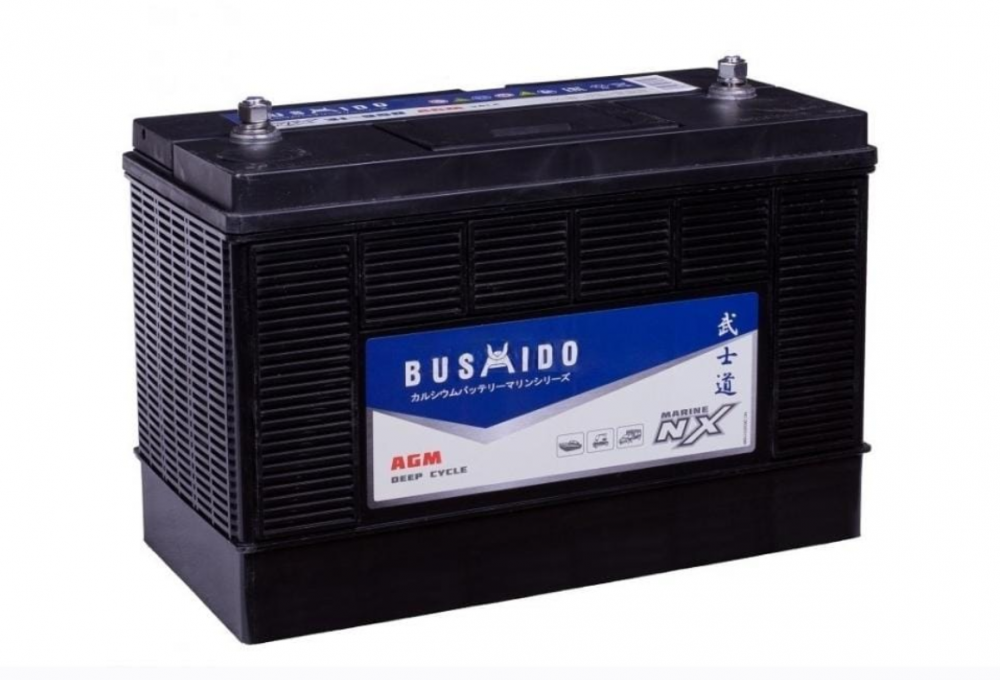 Аккумуляторы BUSHIDO BUSHIDO AGM 31-950 купить 8 906 062 07 78