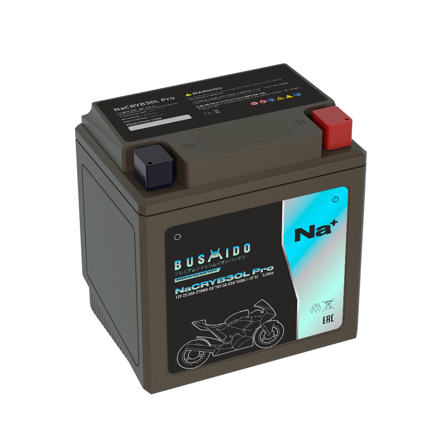 Аккумуляторы BUSHIDO BUSHIDO NaCRYB30L pro купить 8 906 062 07 78