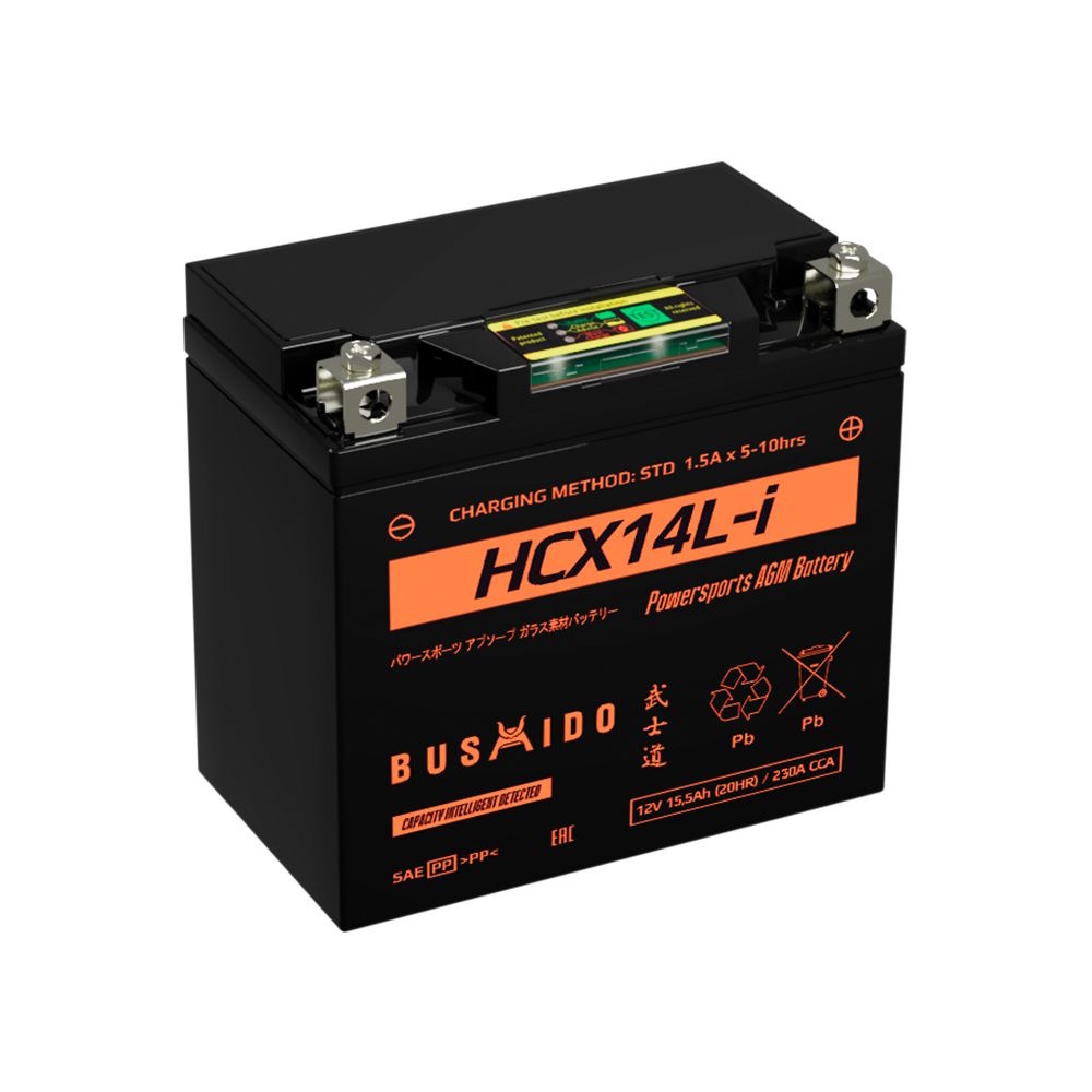 Аккумуляторы BUSHIDO BUSHIDO HCX14L-i купить 8 906 062 07 78