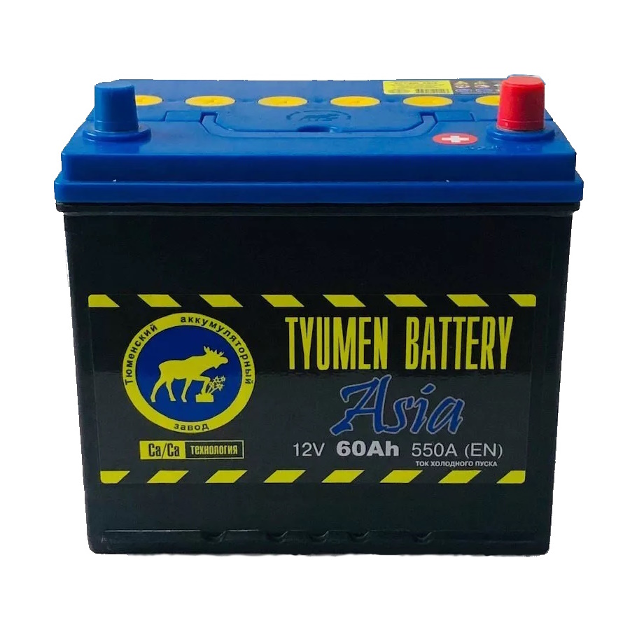 Аккумуляторы Тюмень ТЮМЕНЬ Asia D23L 6CT-60.0 L купить 8 906 062 07 78