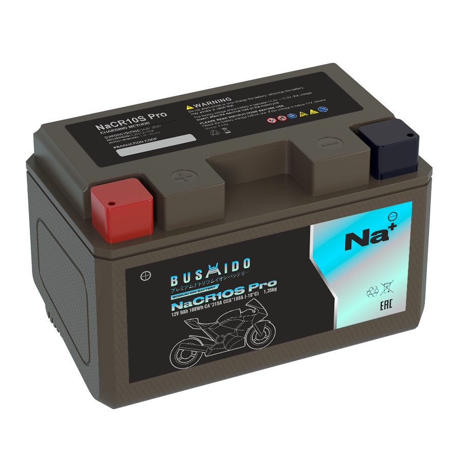 Аккумуляторы BUSHIDO BUSHIDO NaCR10S pro купить 8 906 062 07 78