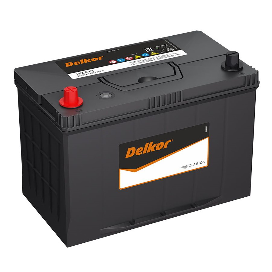 Аккумуляторы DELKOR DELKOR 125D31R купить 8 906 062 07 78