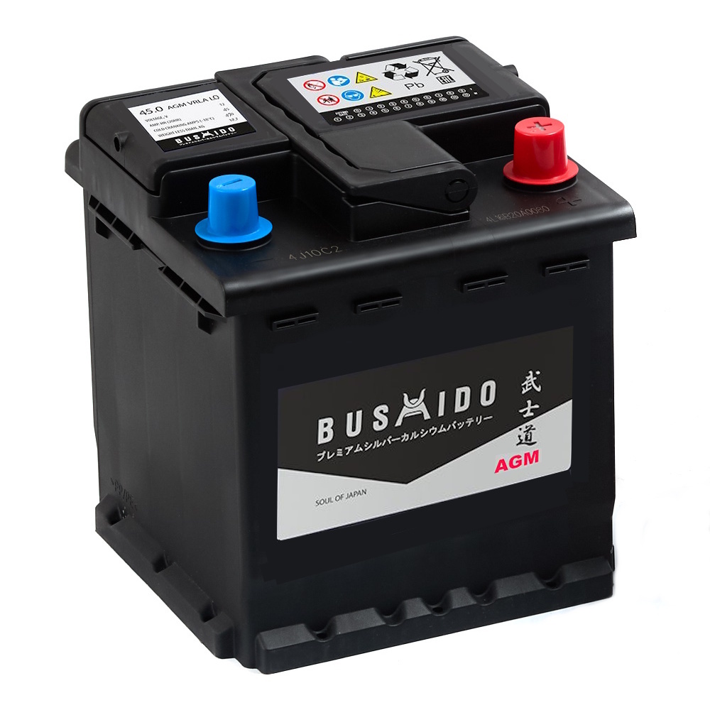 Аккумуляторы BUSHIDO BUSHIDO AGM 45R купить 8 906 062 07 78