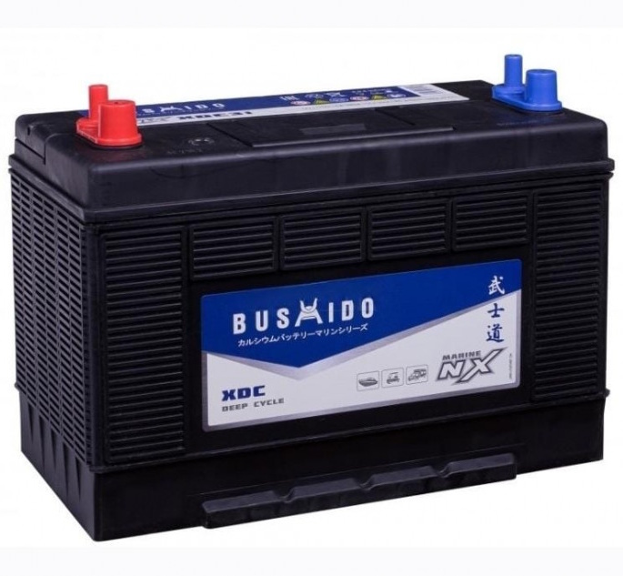 Аккумуляторы BUSHIDO BUSHIDO XDC31 купить 8 906 062 07 78