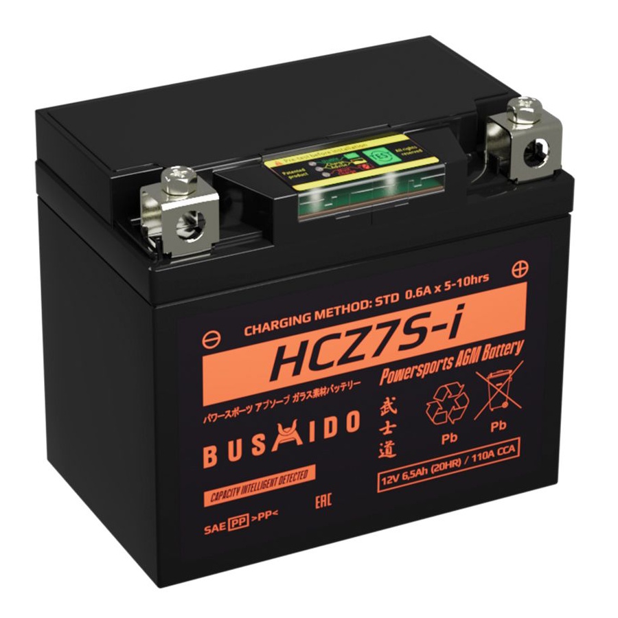 Аккумуляторы BUSHIDO BUSHIDO HCZ7S-i купить 8 906 062 07 78