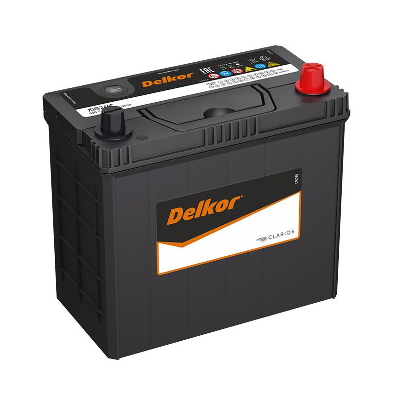 Аккумуляторы DELKOR DELKOR 70B24LS купить 8 906 062 07 78