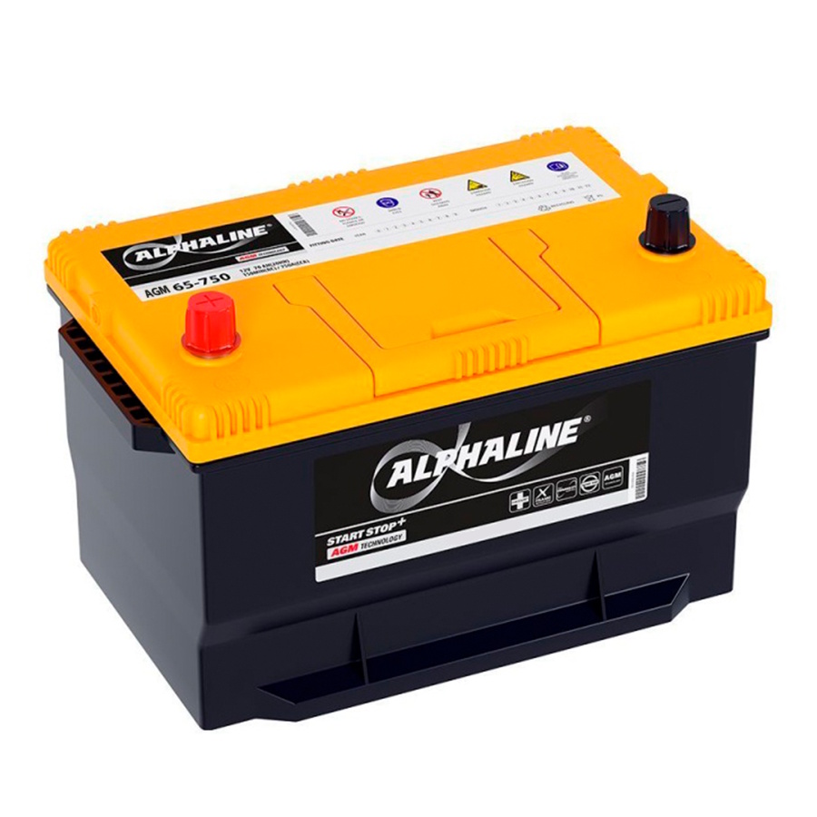 Аккумуляторы ALPHALINE ALPHALINE AGM 65-750 купить 8 906 062 07 78