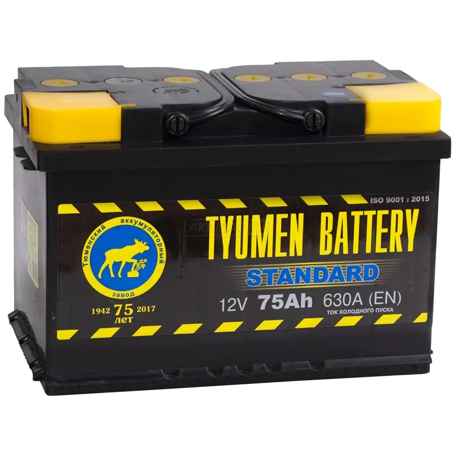 Аккумуляторы Тюмень ТЮМЕНЬ Standard 6CT-75.1 купить 8 906 062 07 78