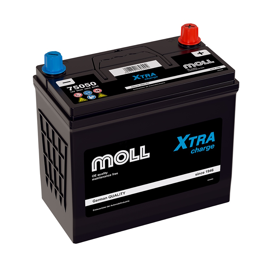 Аккумуляторы MOLL MOLL XTRA charge B24RS купить 8 906 062 07 78
